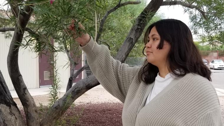 High school student observes a desert willow tree