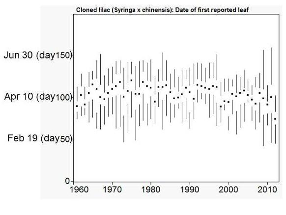 Graph showing early leaf out in lilacs in 2012