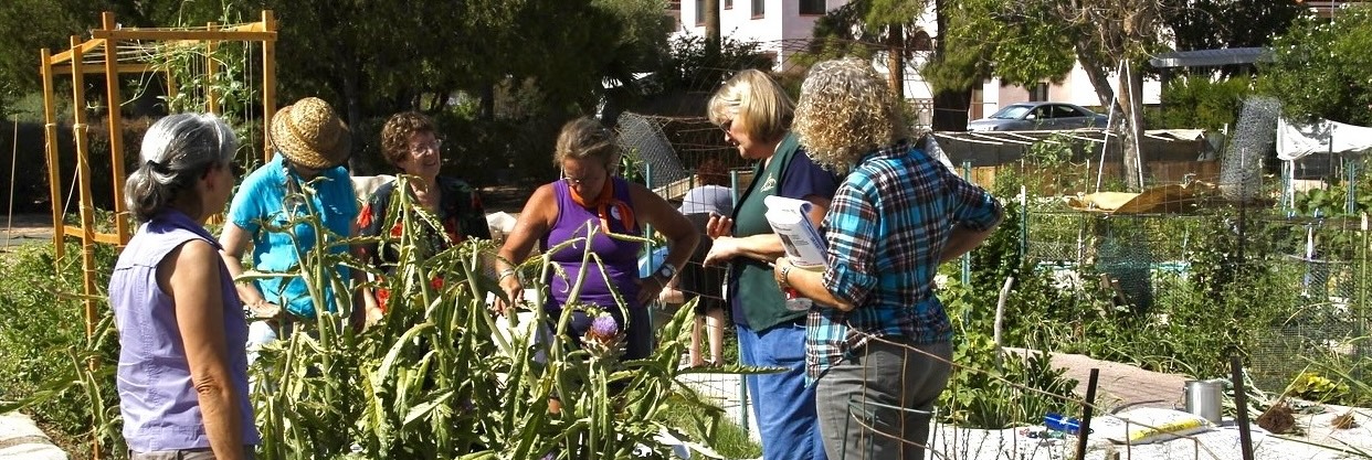 Local Phenology Program observers making an observation