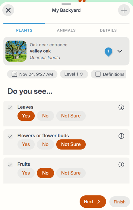New NN app screencap Level 1