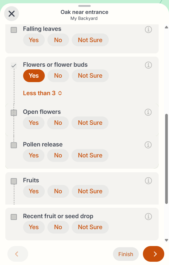 New NN app screencap nested phenophases