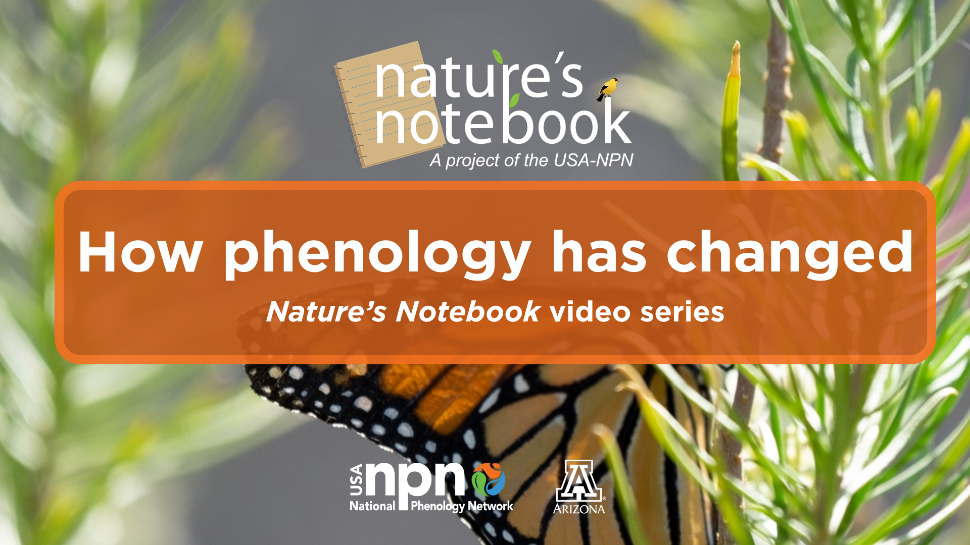 How phenology has changed intro video slide cover