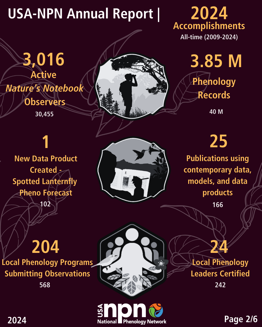 Accomplishments infographic from the USA-NPN 2024 Annual Report including number of observers, phenology records, and other statistics from 2024 and the history of the USA-NPN (2009-2024). 