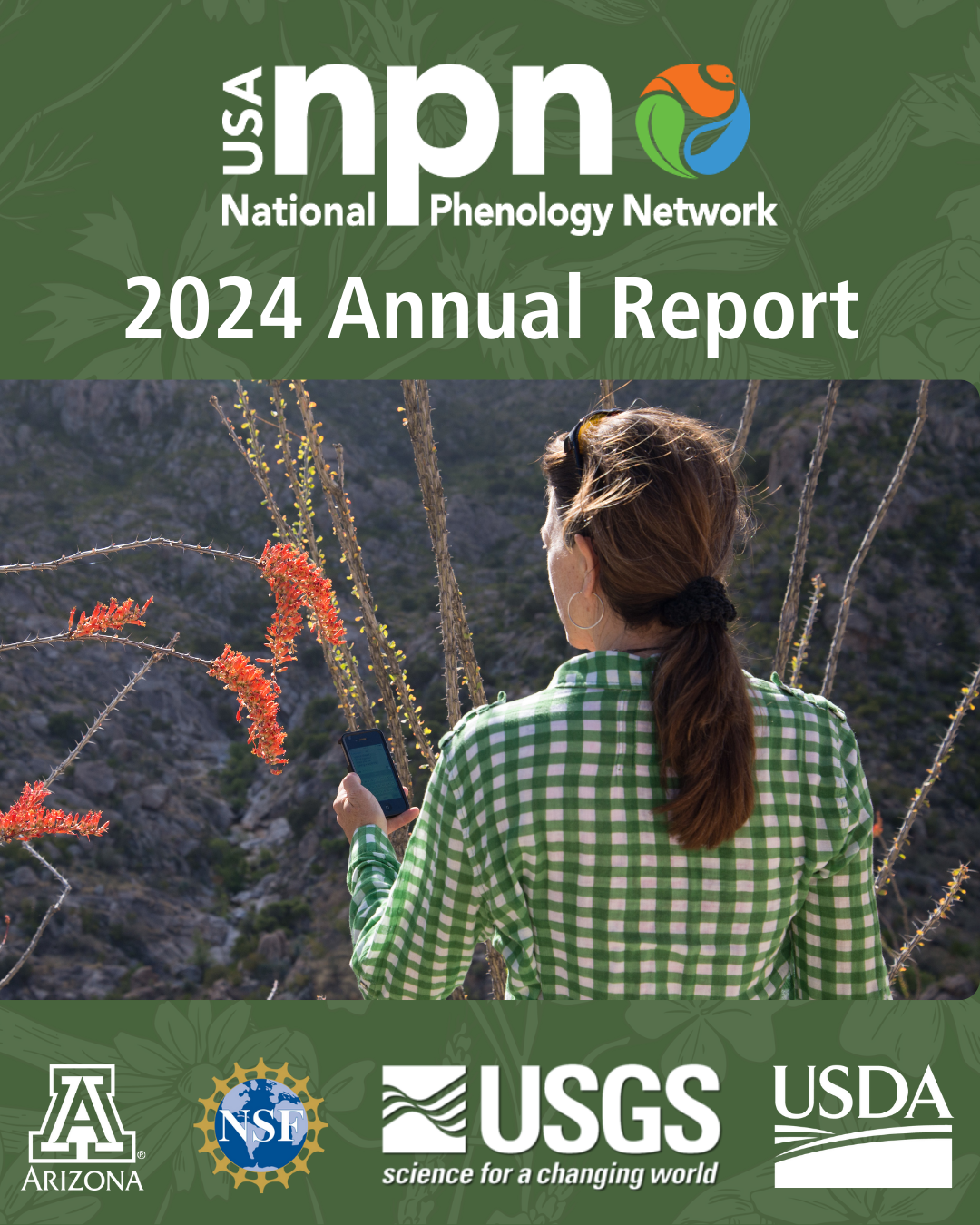 USA-NPN 2024 Annual Report cover with logos for USA-NPN, University of Arizona, National Science Foundation, US Geological Survey, and US Department of Agriculture and a photo of a woman looking at flowers on a plant and holding a phone with the Nature's Notebook mobile app. 