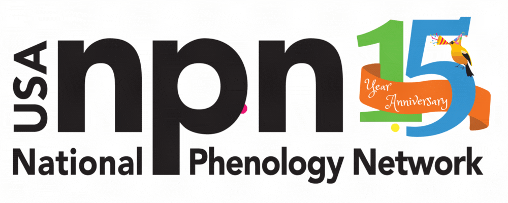 USA-NPN 15 year anniversary logo