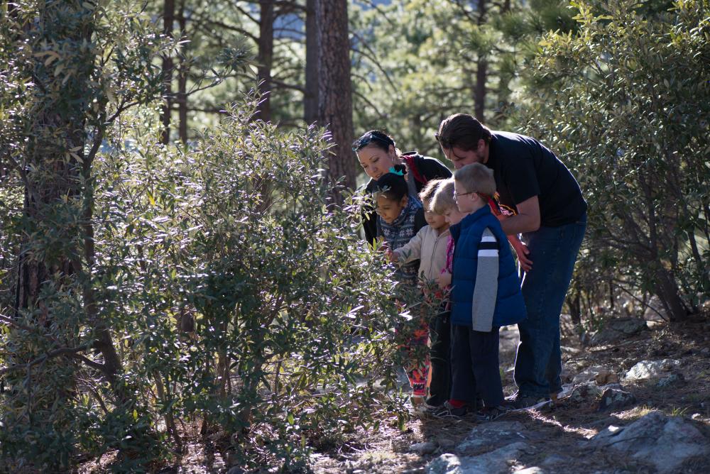 A family observes a plant in the forest, Photo: Brian F. Powell