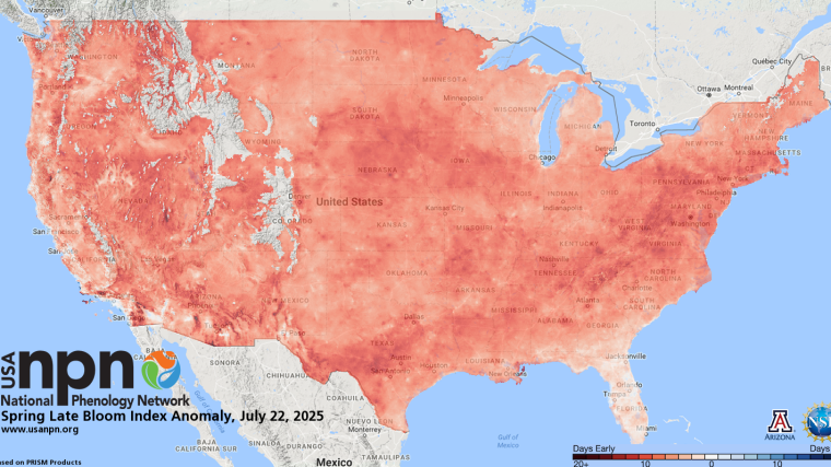 USA-NPN Late Bloom index map for 2025
