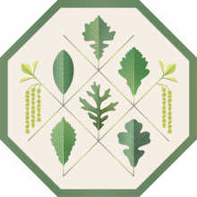 Quercus Quest Badge