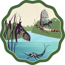Mayfly Watch badge