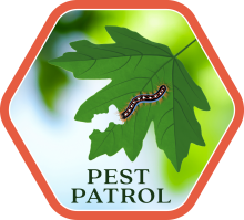 Pest Patrol campaign logo with tent caterpillar eating leaf