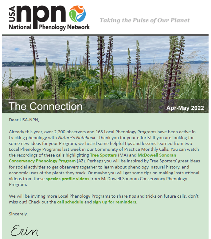 Screencap of the USA-NPN's Connection Newsletter for partners