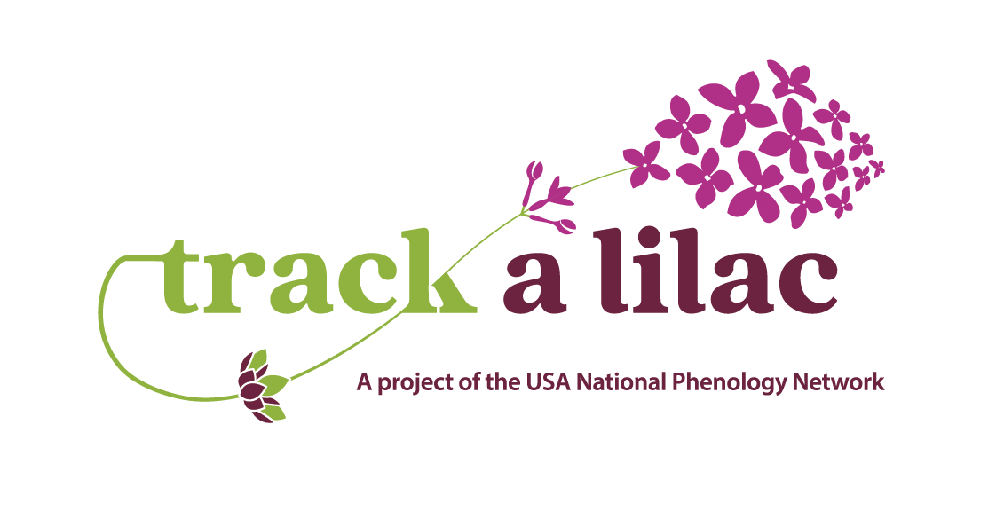 Track a Lilac logo