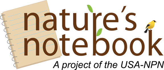 natures notebook logo